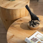Table basse de rangement ronde et rétro en bois, adaptée au salon, à la salle à manger ou au bureau.